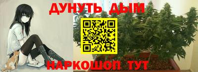 крисы Красноармейск
