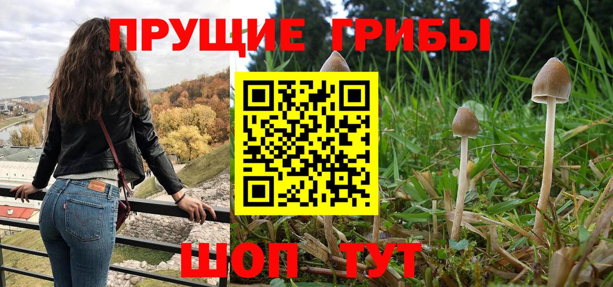 Псилоцибиновые грибы GOLDEN TEACHER  Вход с VPN  Кропоткин 